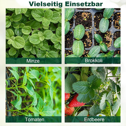 Gewächshaus Klein Indoor Gewächshaus Starter Set 6 Stück