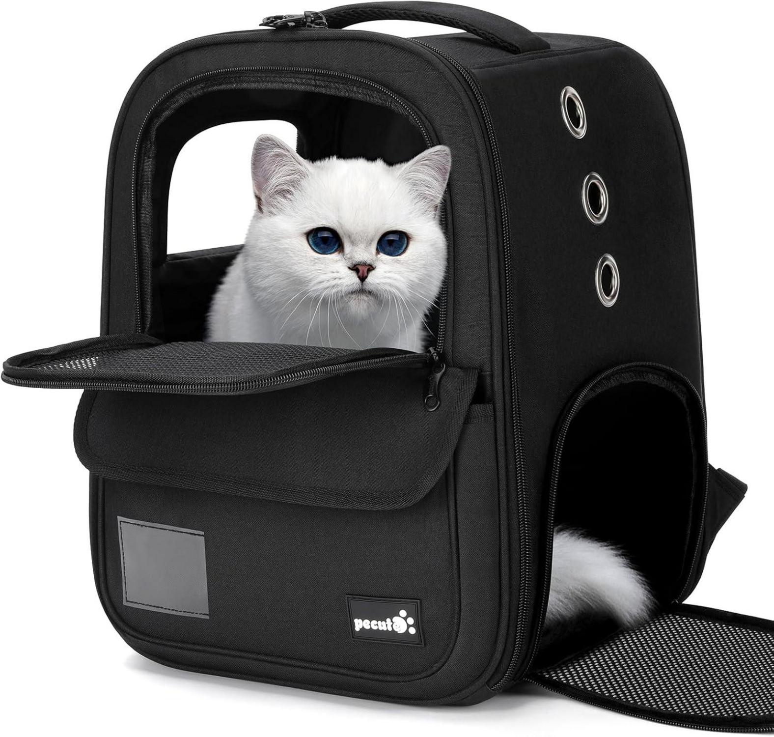 Haustier Rucksack Tragbare Faltbare Katzentransportbox