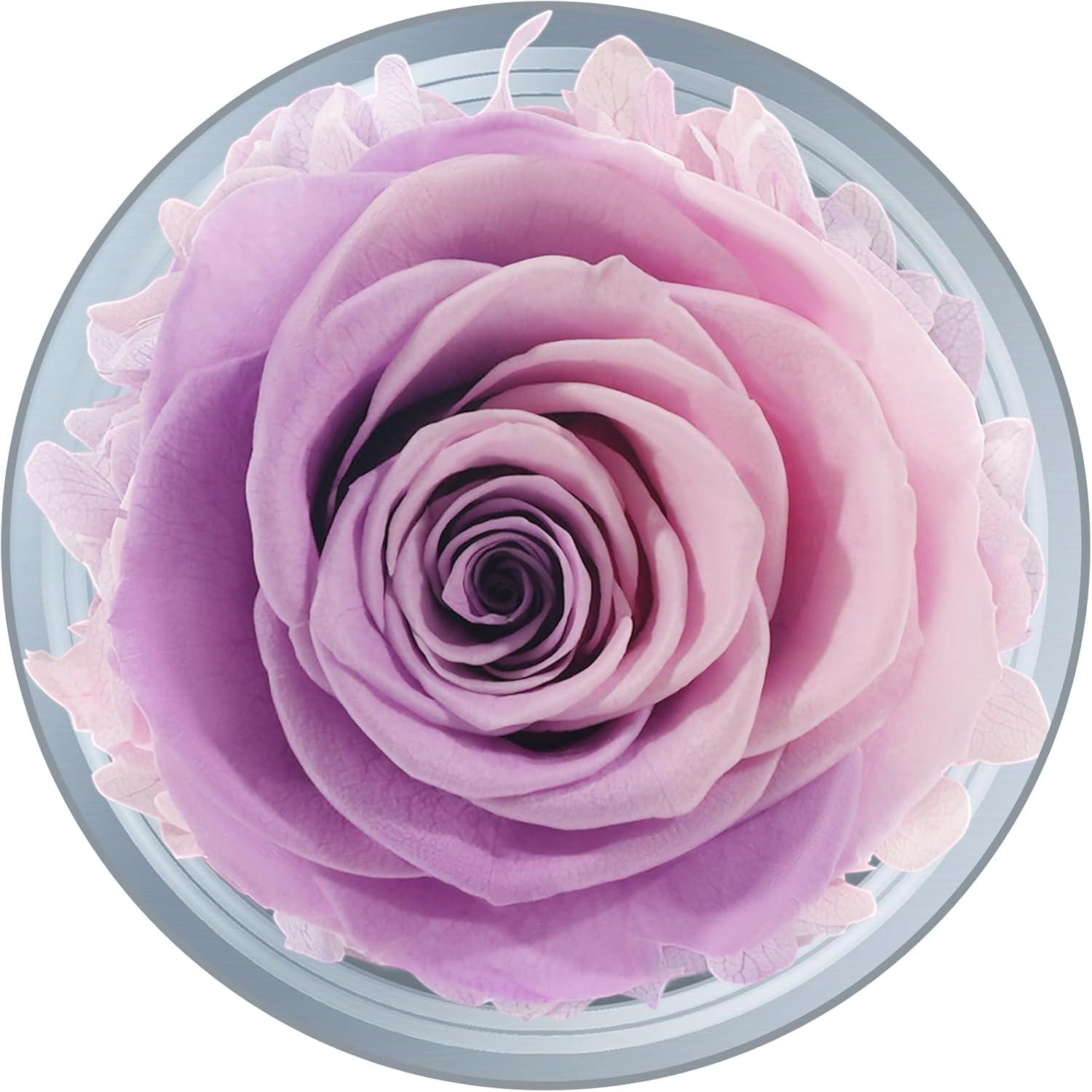 Ewige Rose Engel Glaskuppel Set Muttertag Geschenk