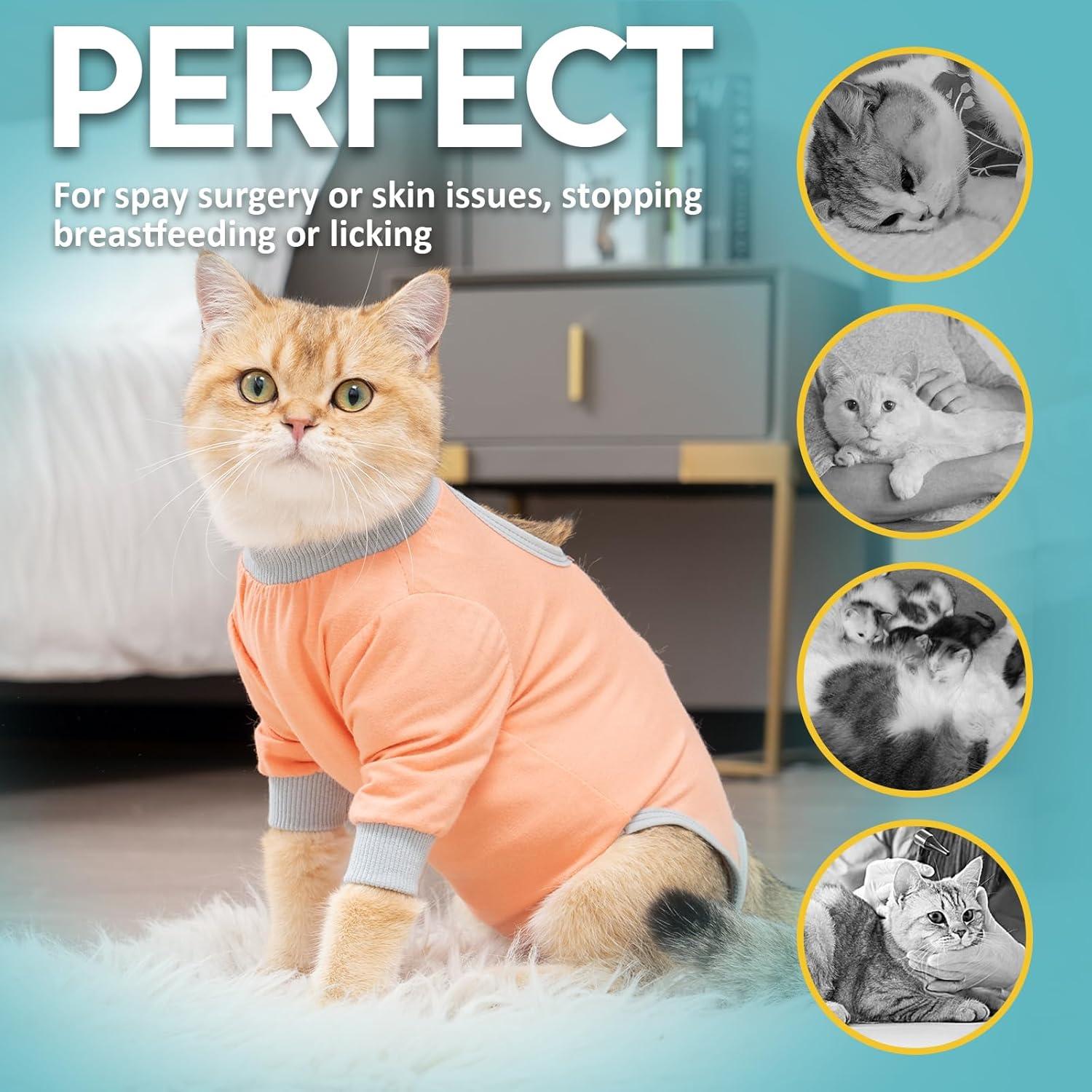 Katzenbody Erholungsanzug Modal Recovery Kastration Spay Leckschutz S-Coral S