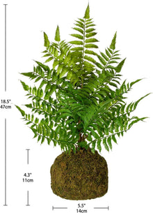Künstlicher Farnbusch auf Wurzelballen 47cm hoch - Dekofarn