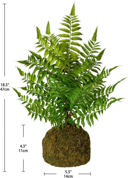 Künstlicher Farnbusch auf Wurzelballen 47cm hoch - Dekofarn
