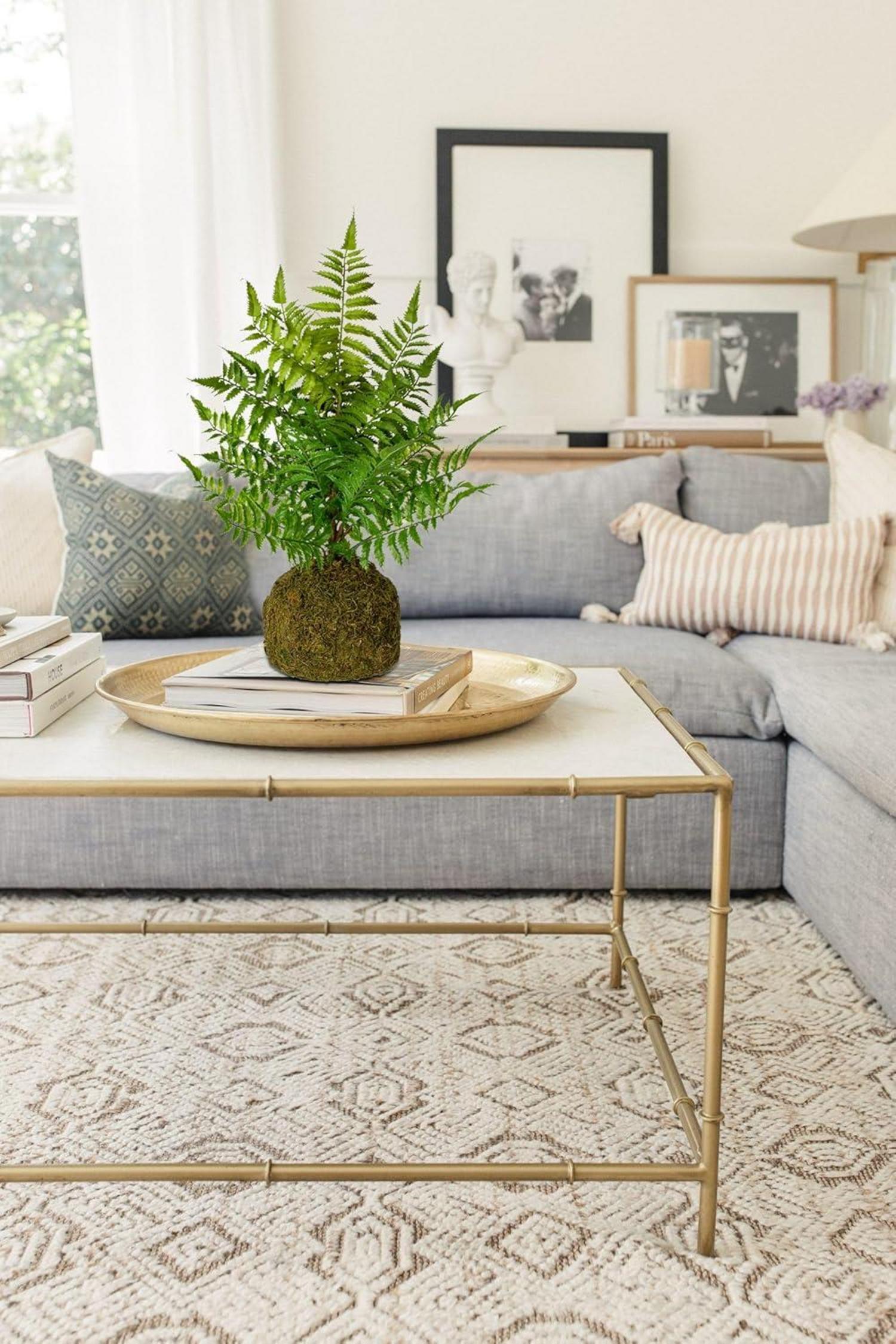 Kunstfarn auf Wurzelballen, 47cm Höhe, Dekopflanze für Zuhause Büro Garten - GrünPflanze