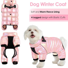 AOFITEE Wasserdichter Hundemantel Winter Warm Mittel Hunde