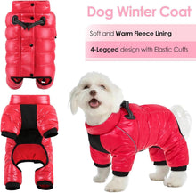 AOFITEE Wasserdichter Hundemantel Winter mit D-Ring Streifen