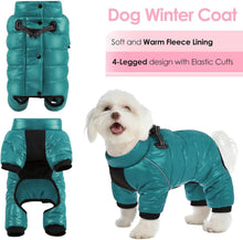 AOFITEE Wasserdichter Hundemantel Winter für Kleine Mittel