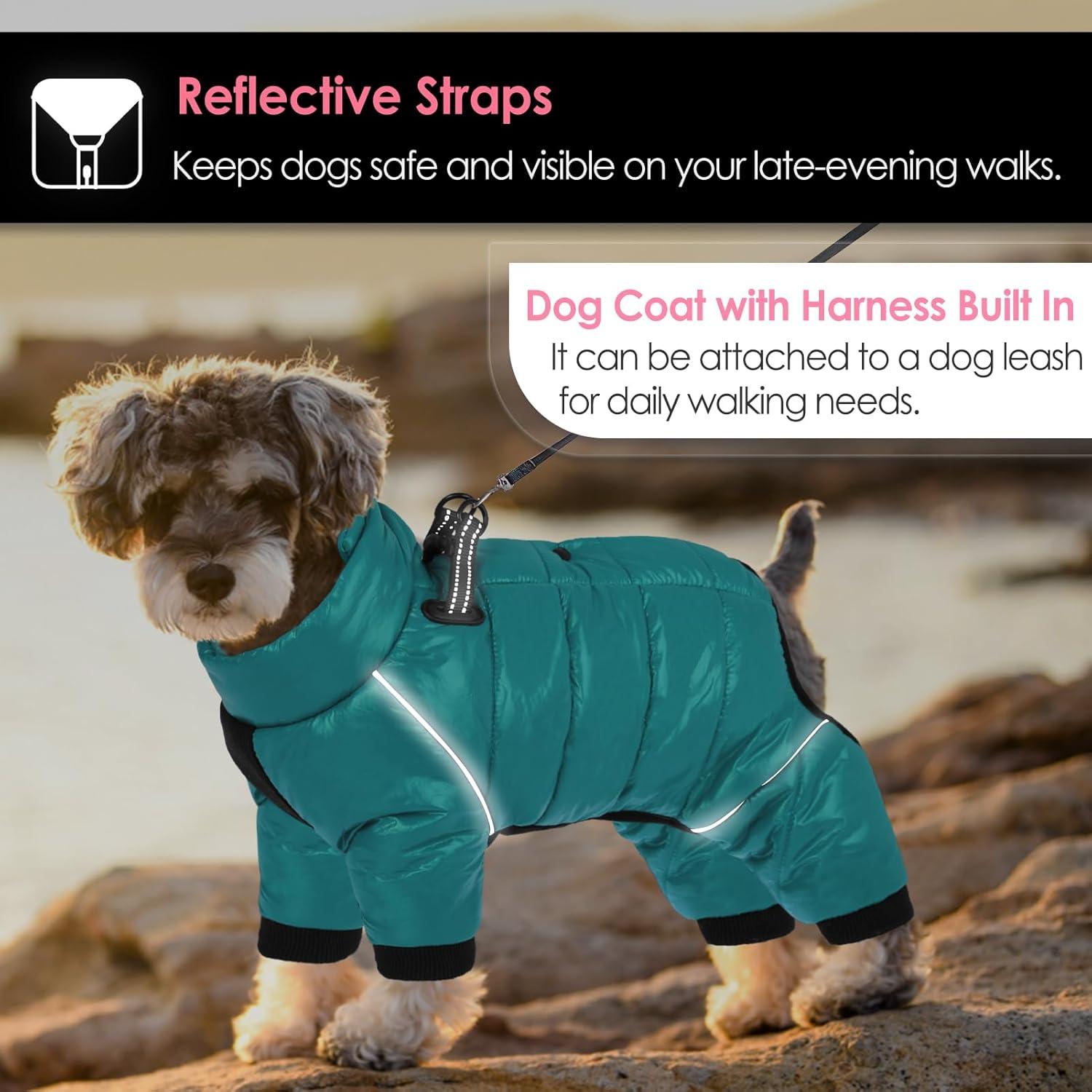 AOFITEE Hundemantel Winter Warme Hundejacke Wasserdicht Türkis