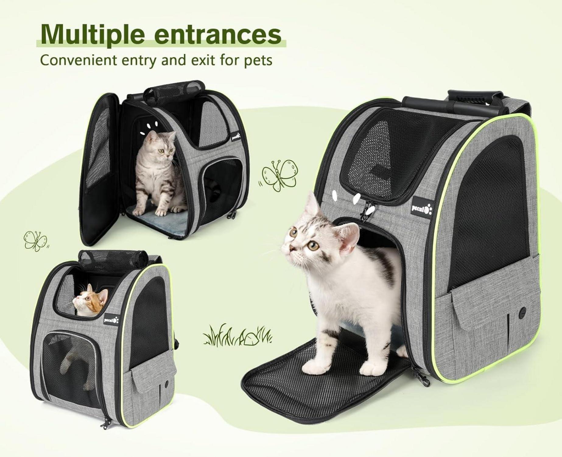 Pecute Haustier Rucksack mit Netzfenster, Erweiterbarer Platz, Tragbare Katzentasche, Atmungsaktiv, Wasserdicht, Grau L