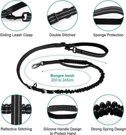 Philorn Hundeleine Große Hunde Reflektierend Sicherheitsgurt