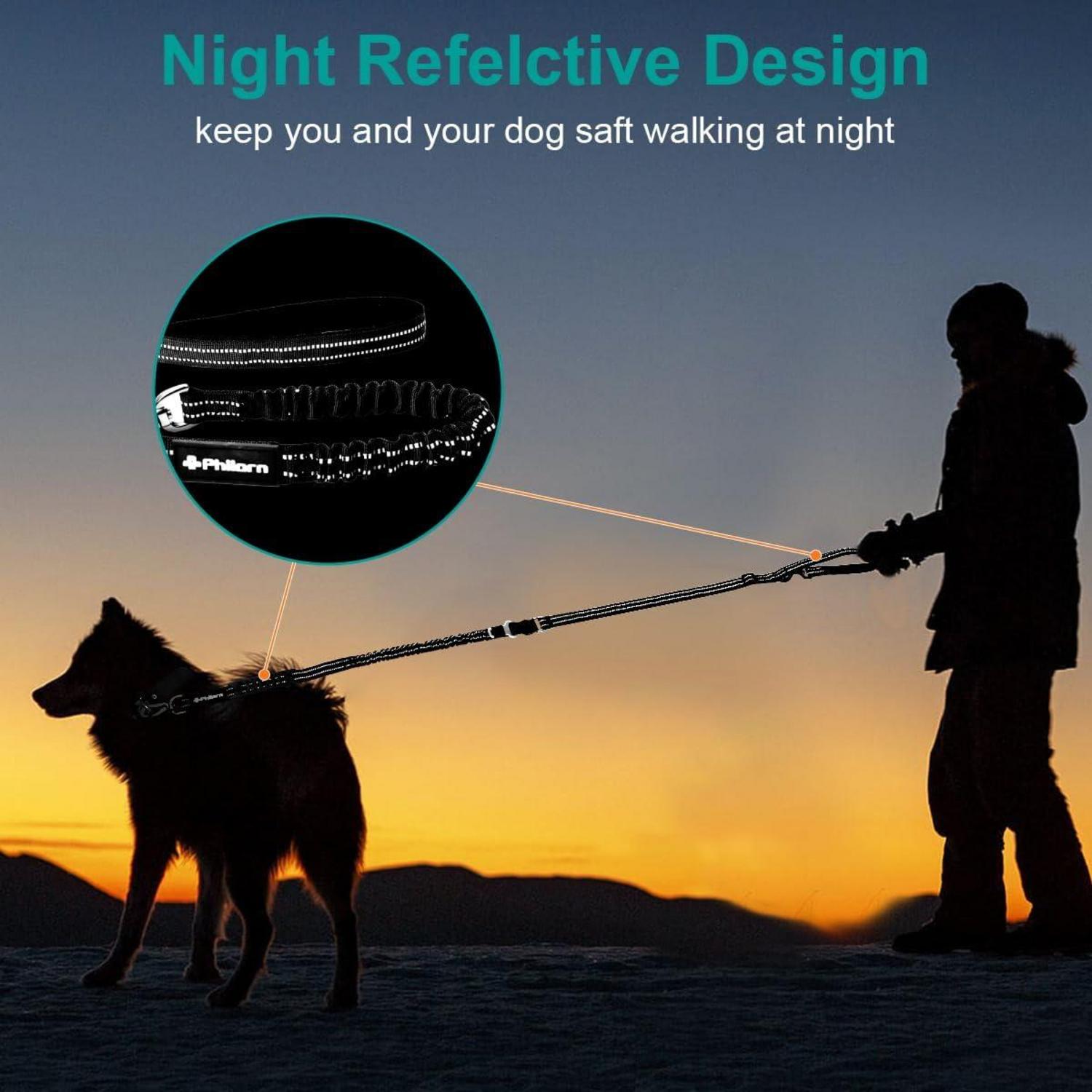 Verstellbare Hundeleine mit Reflektorstreifen und Bungee-Abschnitt