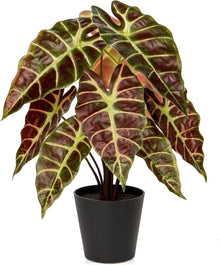 Kunstpflanze Calathea Dekopflanze Zebrina Alocasia Sanderiana Schwarz