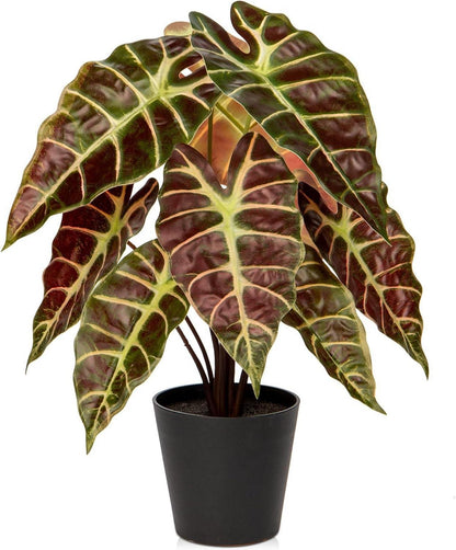 Kunstpflanze Calathea Dekopflanze Zebrina Alocasia Sanderiana Schwarz