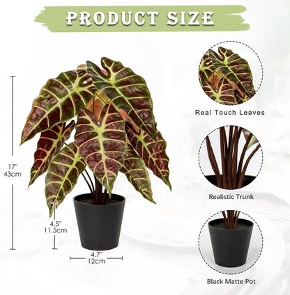 Kunstpflanze Calathea Alocasia Sanderiana Deko Real-Touch