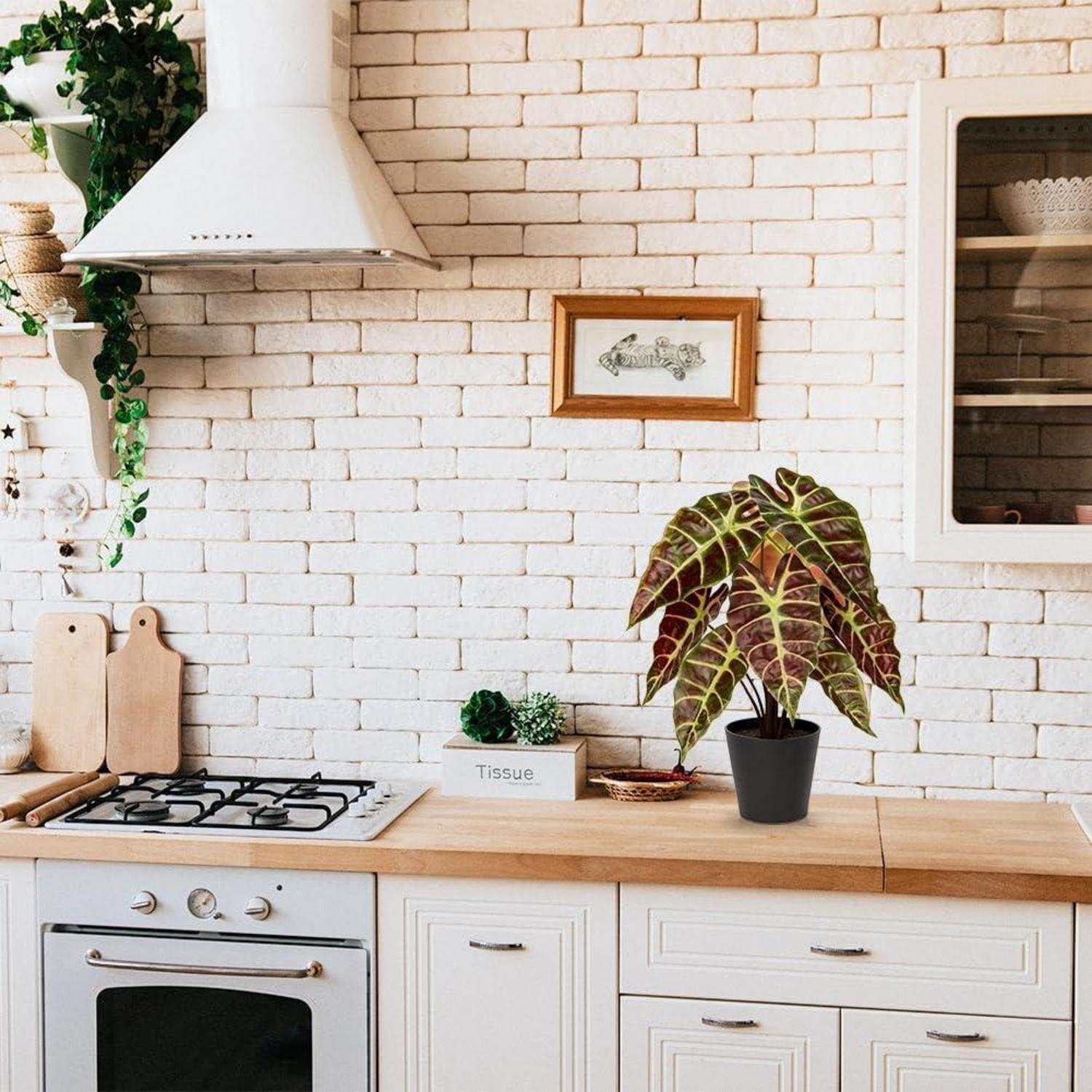 Kunstpflanze Calathea Dekopflanze Zebrina Alocasia Sanderiana Schwarz