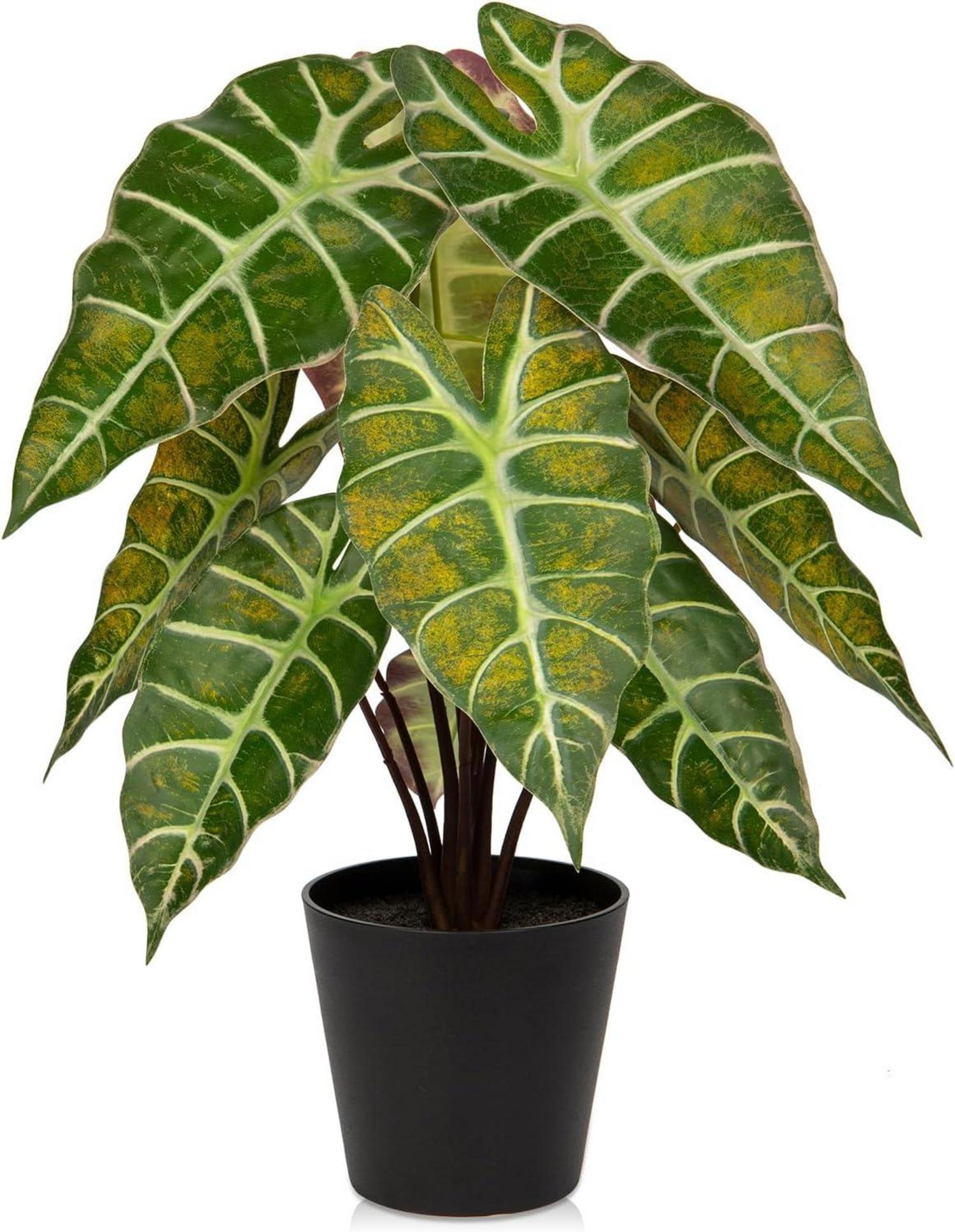 Kunstpflanze Calathea Zebrina Alocasia Sanderiana 43 cm