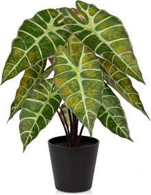 Kunstpflanze Calathea Zebrina Alocasia Sanderiana 43 cm