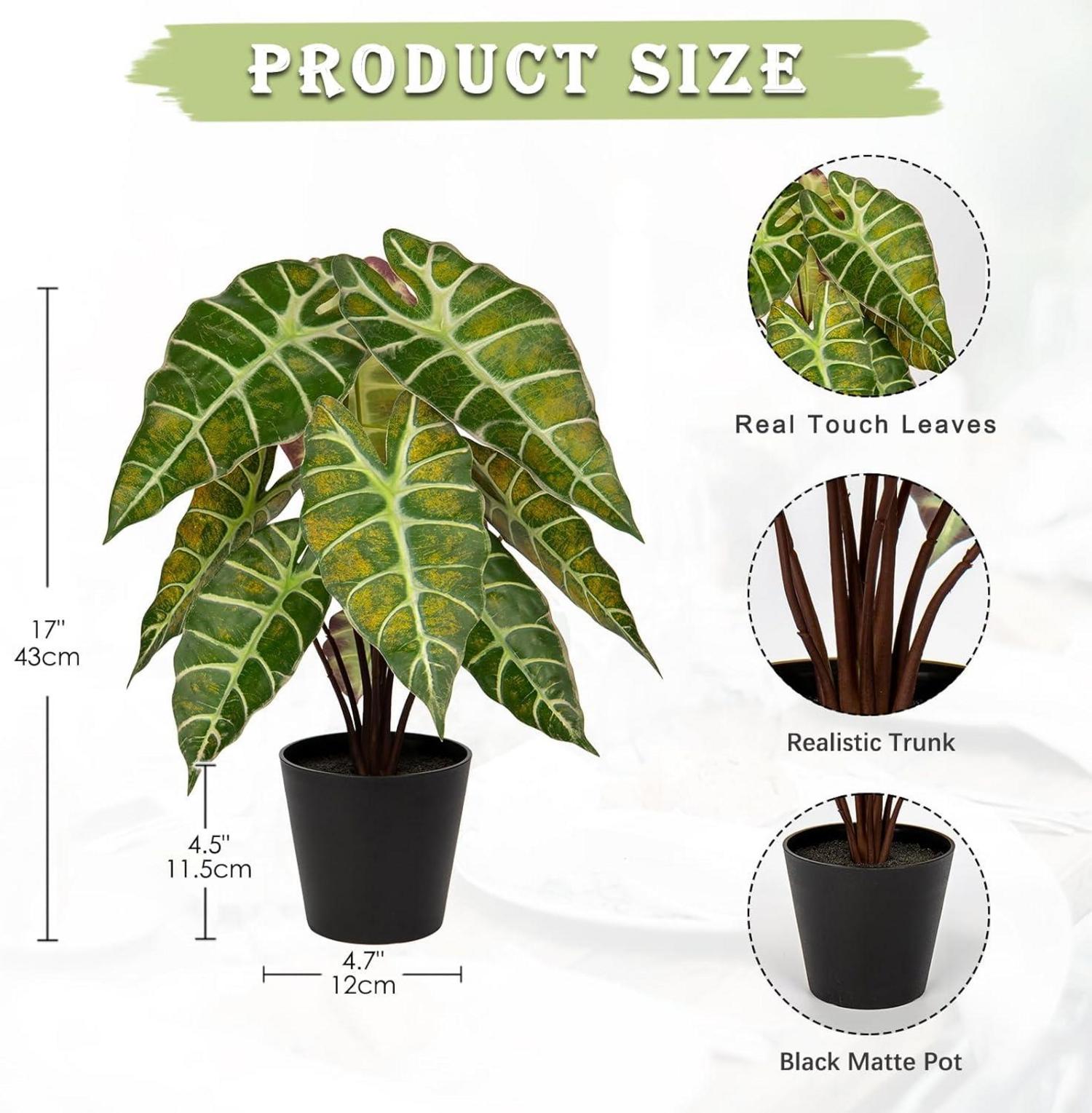 Briful Kunstpflanze Calathea Alocasia Sanderiana 43 cm