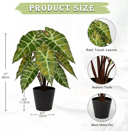 Briful Kunstpflanze Calathea Alocasia Sanderiana 43 cm