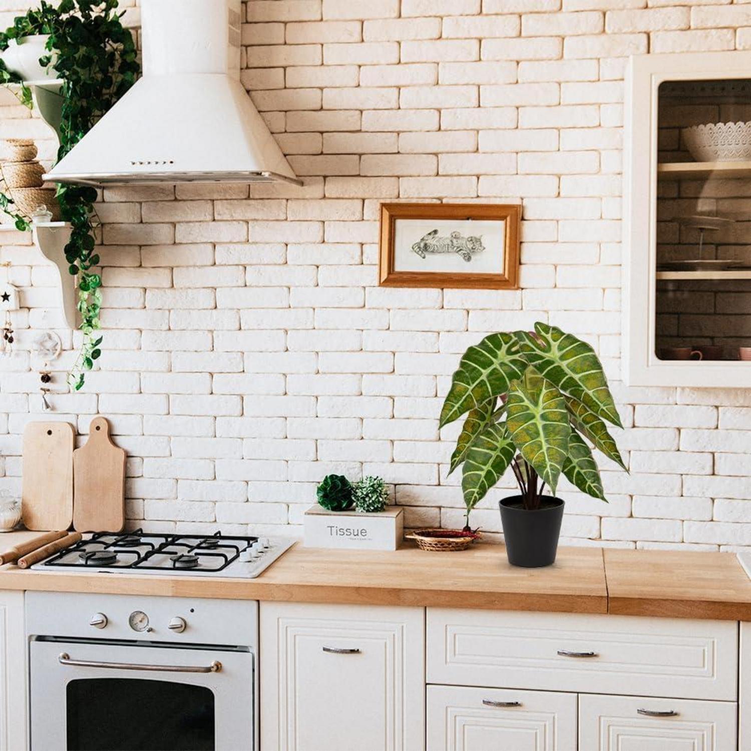 Kunstpflanze Calathea Zebrina Alocasia Sanderiana 43 cm