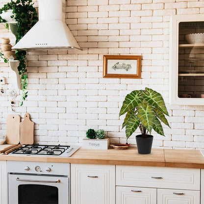 Kunstpflanze Calathea Zebrina Alocasia Sanderiana 43 cm