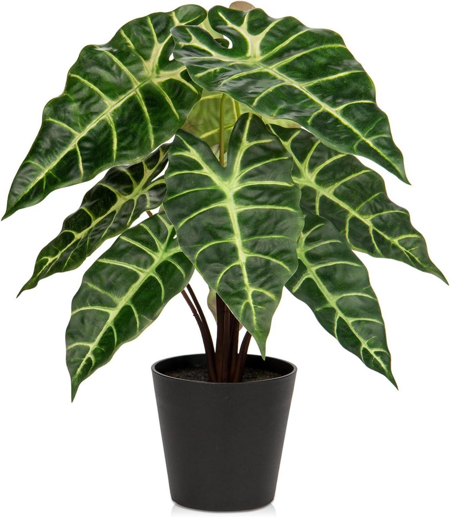 Kunstpflanze Calathea Alocasia Sanderiana in Schwarzem Topf 43cm
