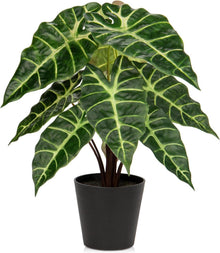 Kunstpflanze Calathea Alocasia Sanderiana in Schwarzem Topf 43cm