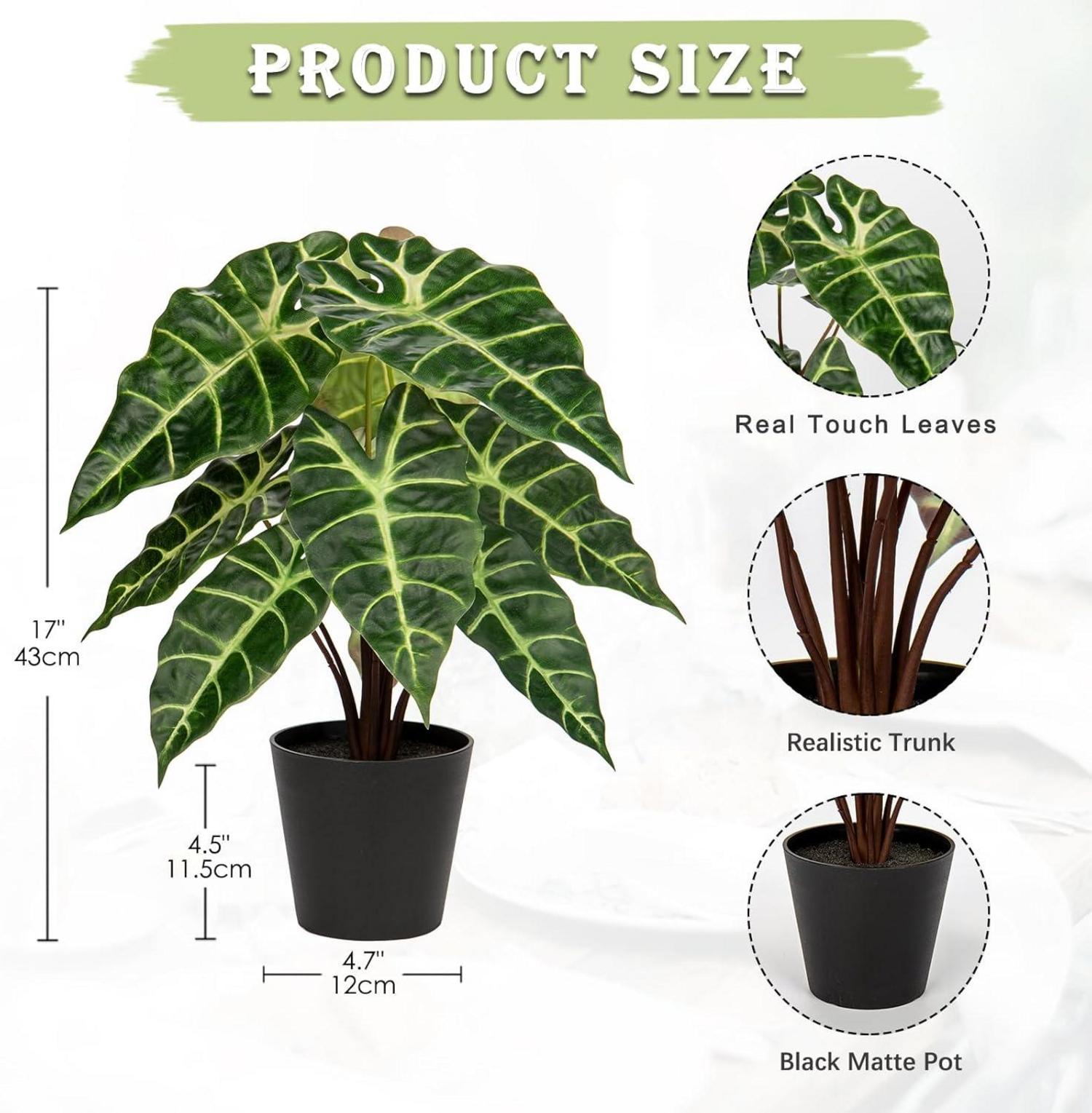 Kunstpflanze Calathea Alocasia Sanderiana Deko-Zimmerpflanze