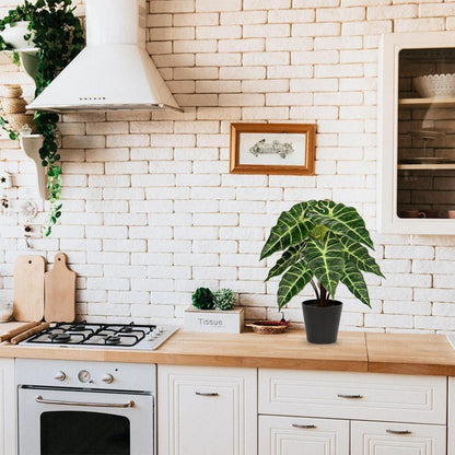 Kunstpflanze Calathea Alocasia Sanderiana in Schwarzem Topf 43cm