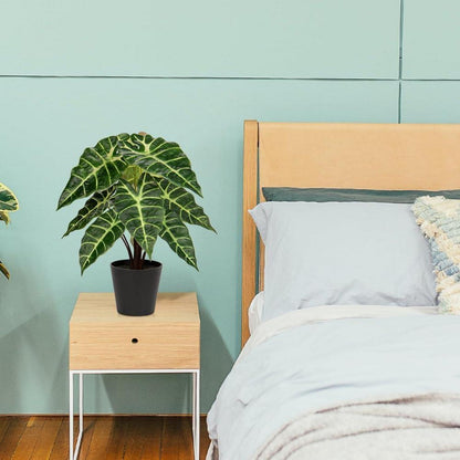 Briful Kunstpflanze Calathea Alocasia Sanderiana Schwarz Topf 43cm