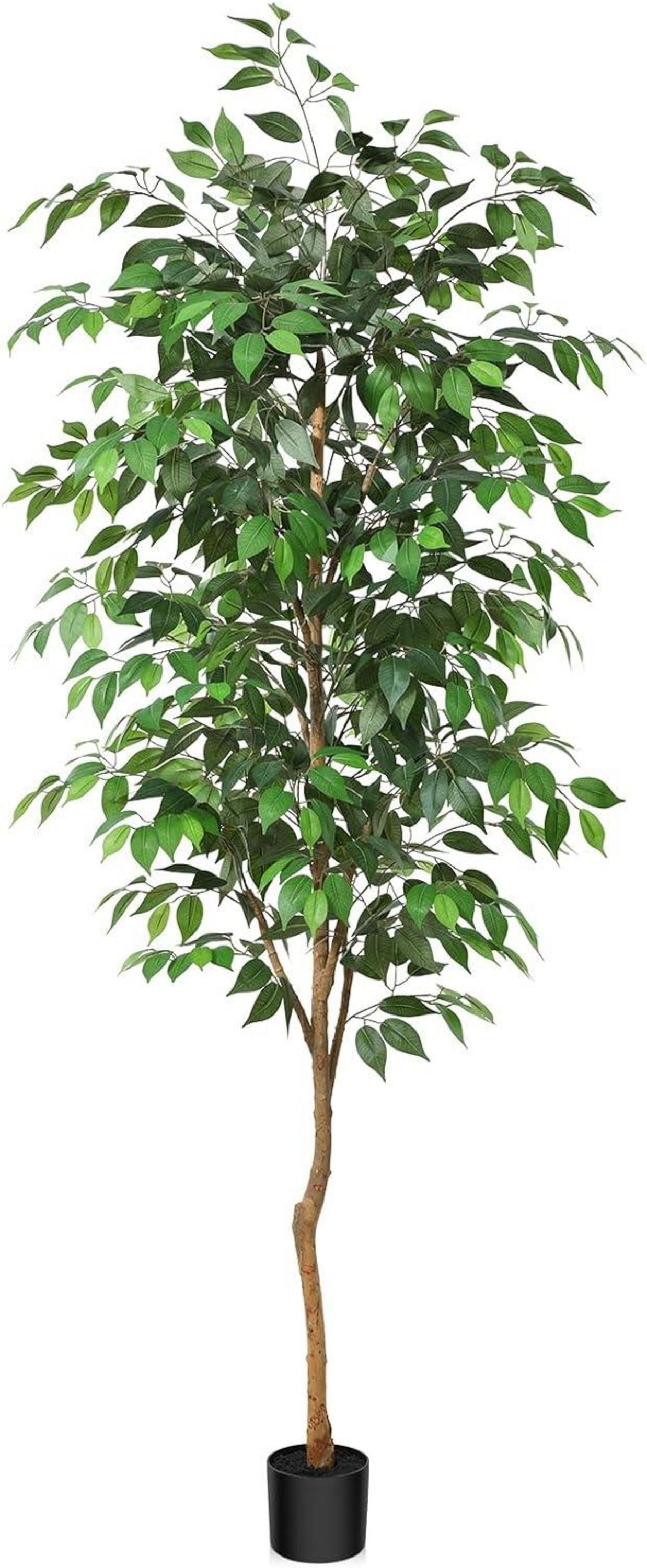Künstliche Ficus Benjamina Kunstpflanze 210cm mit Naturholzstamm