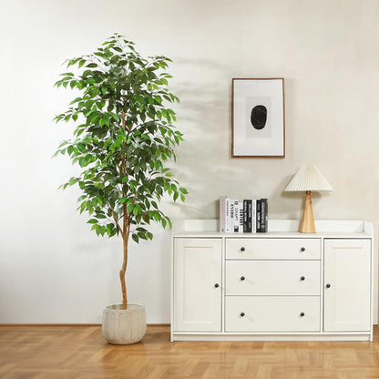 Künstliche Ficus Benjamina 210cm Groß mit Naturholzstamm