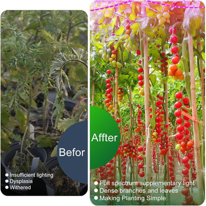 Pflanzenlampe LED Vollspektrum Grow Lampe Auto Timer