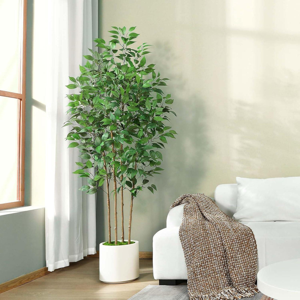 Künstlicher Ficusbaum 180cm mit weißem Topf und Kunstmoos