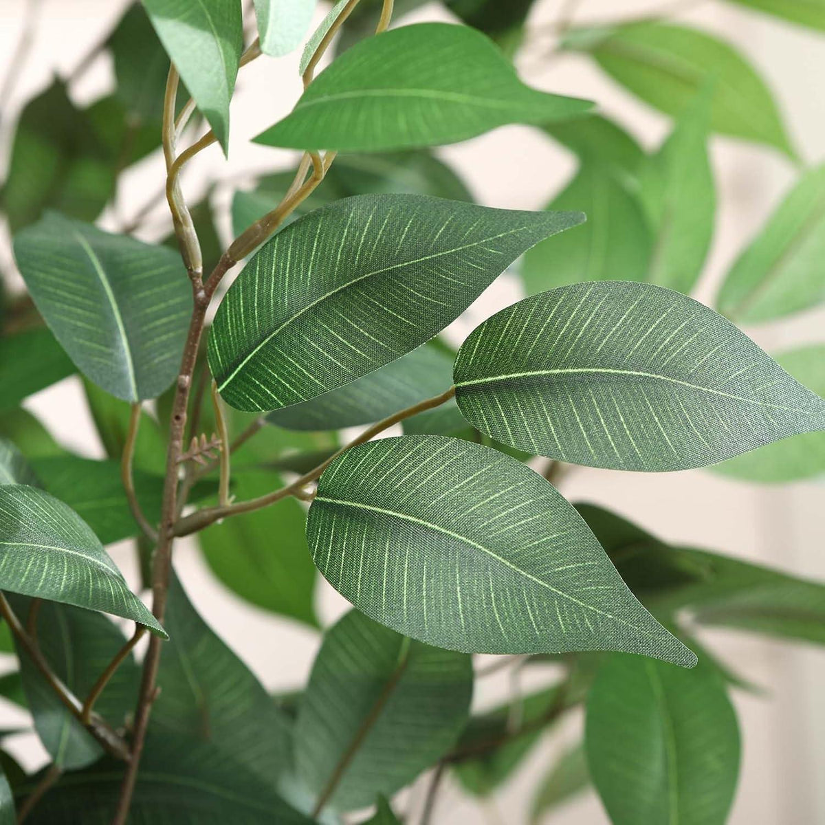 Künstlicher Ficusbaum 180cm mit weißem Topf und Kunstmoos