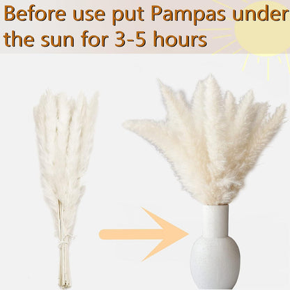125er Packung getrocknetes Pampasgras-Bouquet für Hochzeiten und rustikale Dekorationen