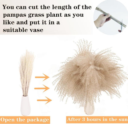 Getrocknete Pampasgrasdekoration mit 110 Stück, Geschenkbox - Pflegekarte - Boho-Stil