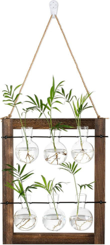 Terrarium Wandvasen Set Holzständer Glasvase Hydrokultur