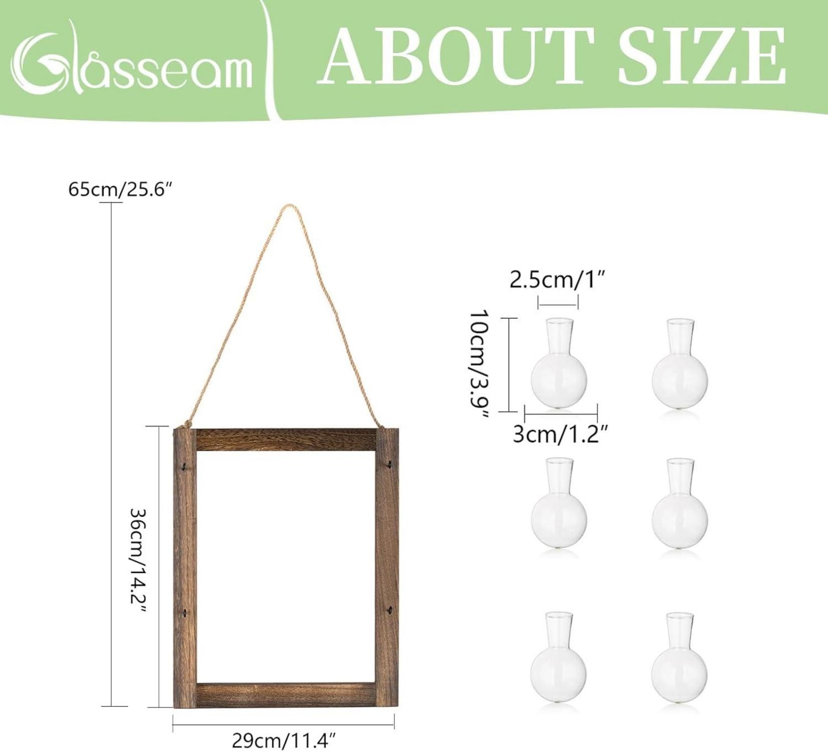 Glasseam HolzstäNder Hänge Glasvase Set Wandvase Hydrokultur Mini Terrarium