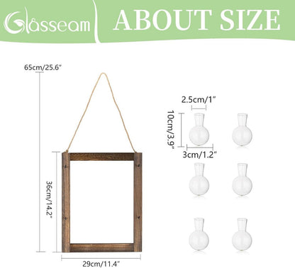 Glasseam HolzstäNder Hänge Glasvase Set Wandvase Hydrokultur Mini Terrarium