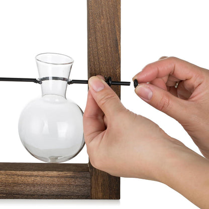 Glasseam Pflanzen Terrarium Deko Vasen Set Holzständer hydrokultur Moderne Glaswandvasen