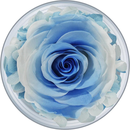 Ewige Rose mit Engel Figur in Glaskuppel Weiß Blau