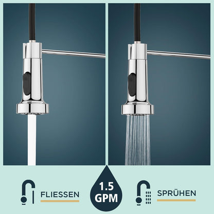 FORIOUS Wasserhahn Küche Edelstahl Ausziehbar 360°Drehbar