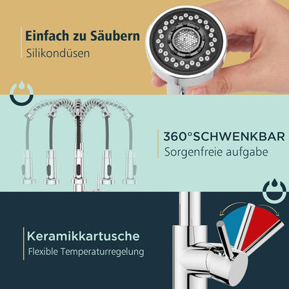 FORIOUS Küchenarmatur Edelstahl mit ausziehbarer Brause 360° Drehbar