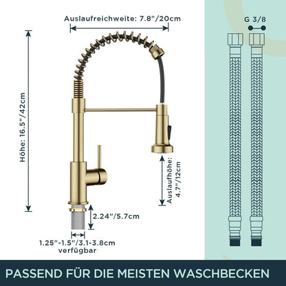 FORIOUS Edelstahl Küchenarmatur mit Brause 360° Drehbar Spültischarmatur