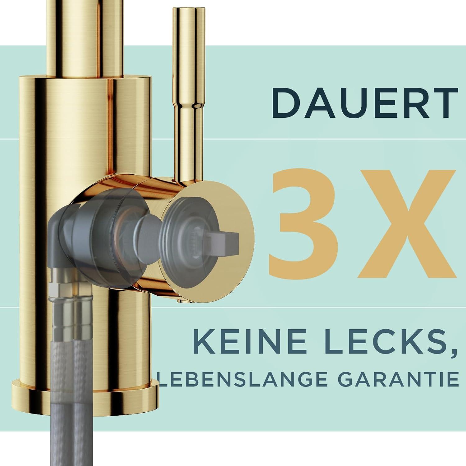 FORIOUS Edelstahl-Wasserhahn mit Brause 360° drehbar Küchenmischer