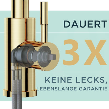 FORIOUS Edelstahl-Wasserhahn mit Brause 360° drehbar Küchenmischer