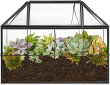 Geometrisches Terrarium Glas für Kakteen Sukkulenten Schwarz