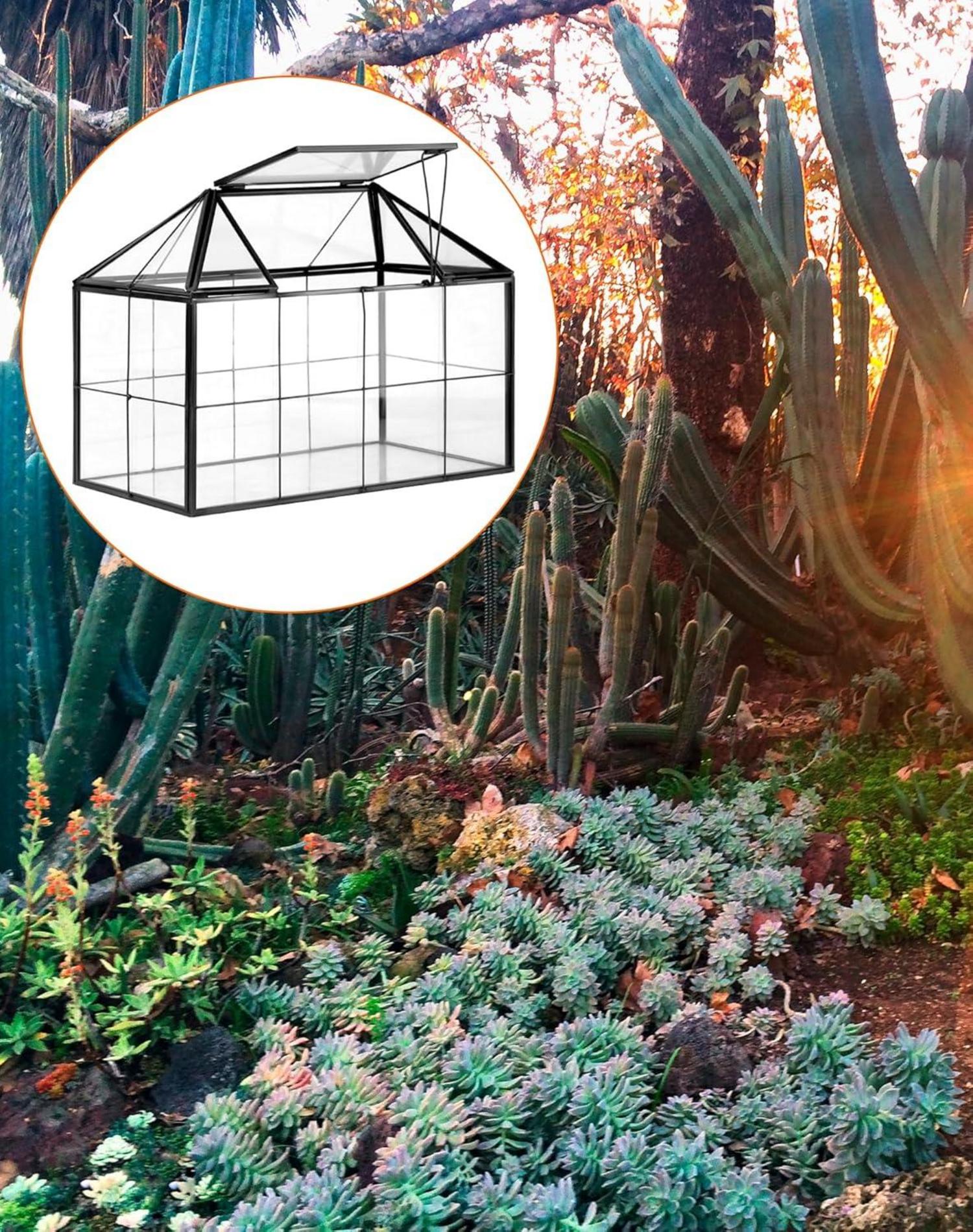Terrarium Geometrisches Schwarz 22x13.5x18.5 cm Sukkulenten Kakteen