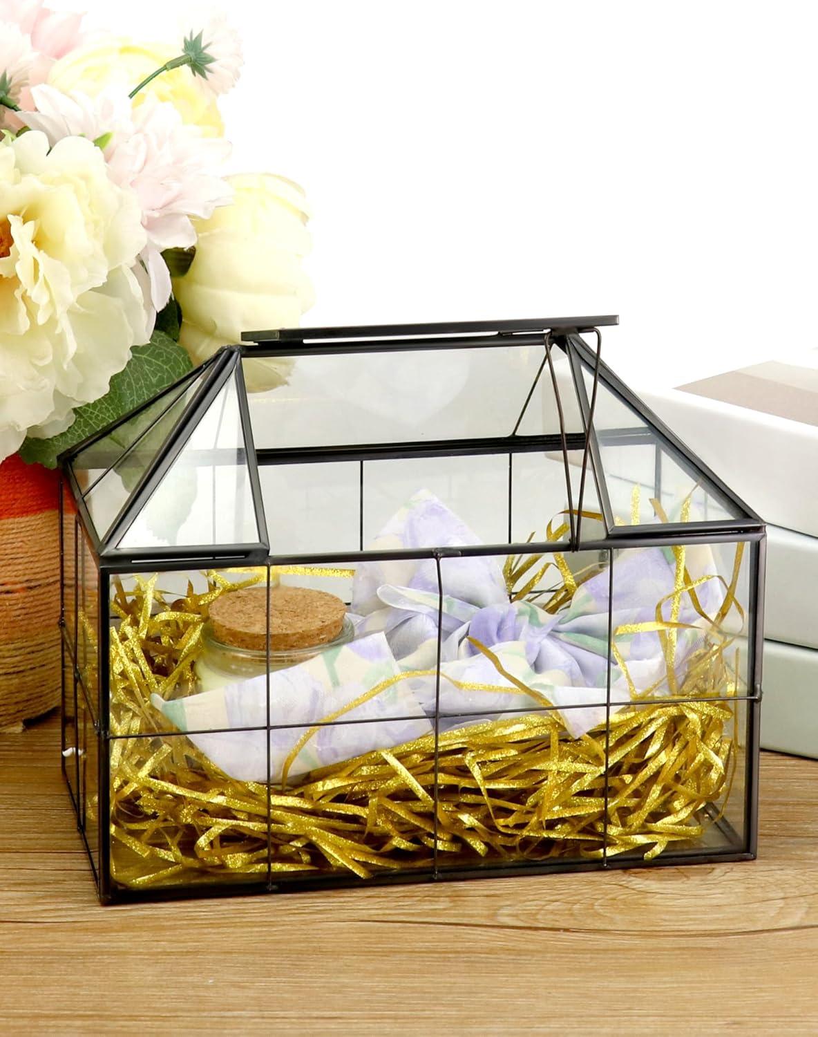 Geometrisches Terrarienglas Schwarz 22x13.5x18.5 cm für Kakteen Sukkulenten