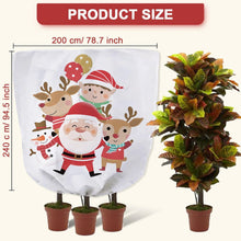 Winterschutz Pflanzen Frostschutz 2,0 x 2,4m